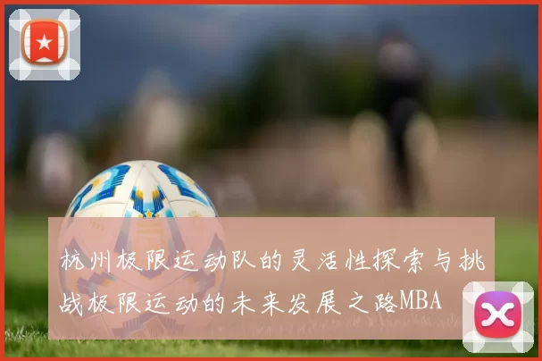 杭州极限运动队的灵活性探索与挑战极限运动的未来发展之路MBA