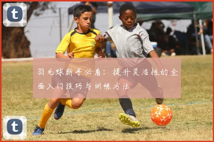 羽毛球新手必看：提升灵活性的全面入门技巧与训练方法