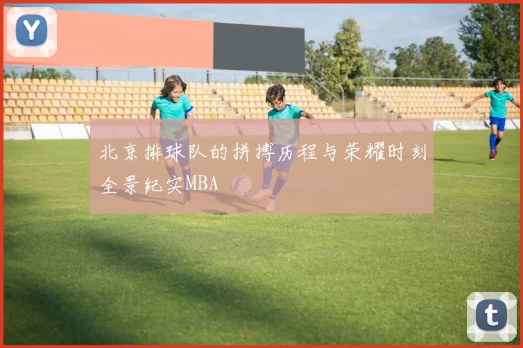 北京排球队的拼搏历程与荣耀时刻全景纪实MBA