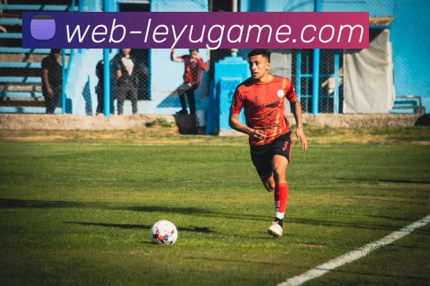 App Interface Preview