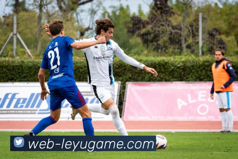 leyu平台APP 封面图